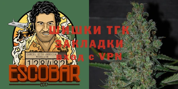 гидра Балахна