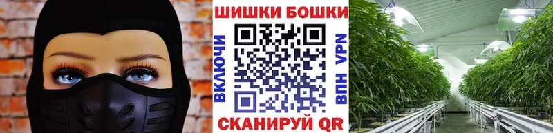 Канабис план Мариинск
